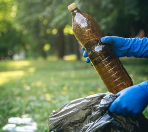 Edible Oils