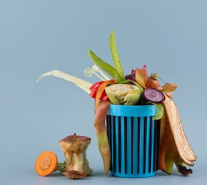 Wet Waste